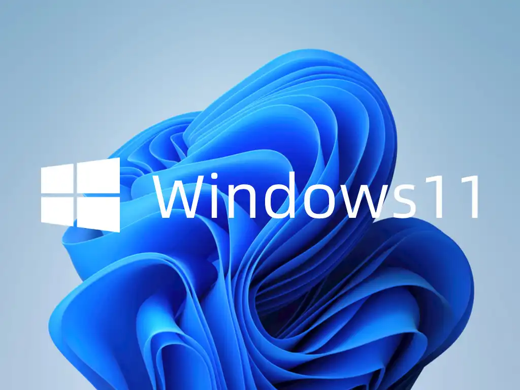 Windows11